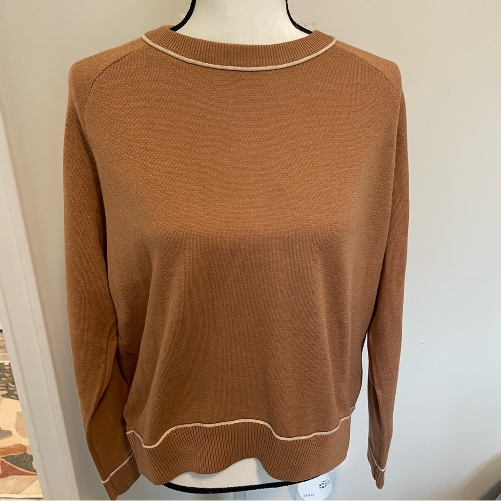 Staccato Brown Crewneck Sweater with Cream Trim